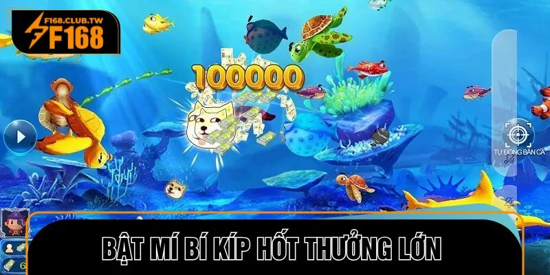Ngư thủ dễ dàng rinh thưởng khủng nhờ mẹo chơi bất bại