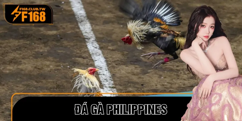 Đá Gà Philippines – Sân Chơi Kịch Tính Cho Dân Cá Cược
