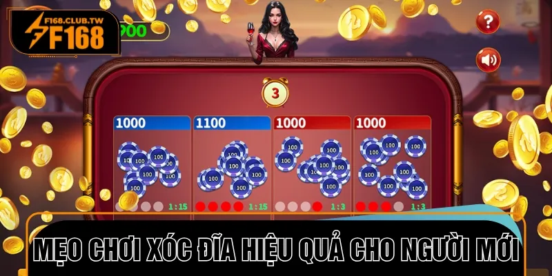 Một vào mẹo hay khi chơi xóc đĩa dành cho người mới