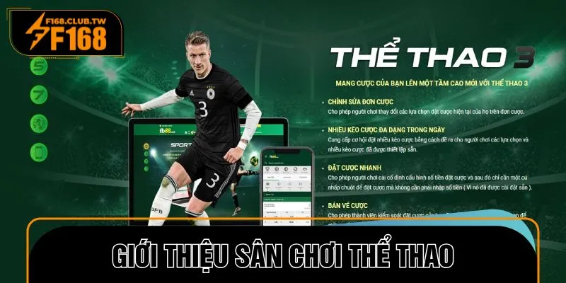 Đôi nét về sảnh thể thao