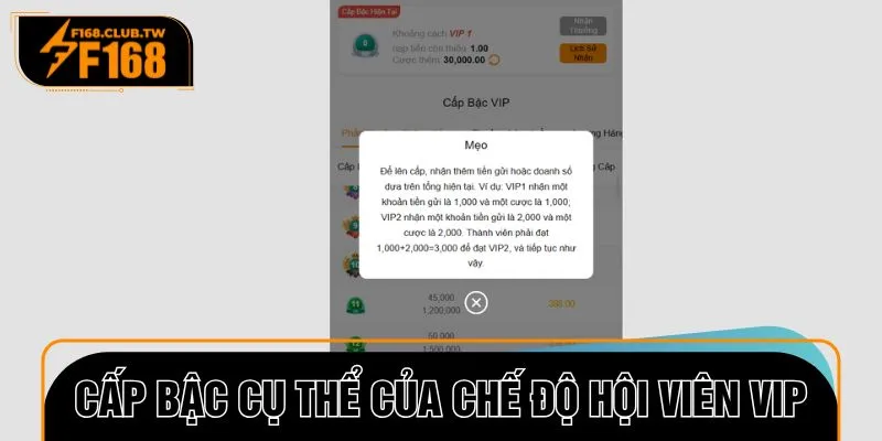 Các cấp bậc cụ thể của chế độ hội viên VIP